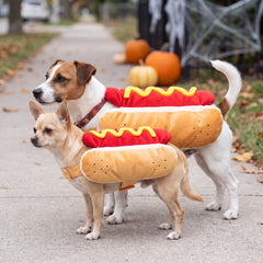 hot dog costume on a chihuahua and a jack russell terrier side by side in profile