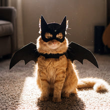 Bat Wings Cat Costume — plain