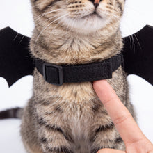 Bat Wings Cat Costume — plain