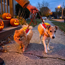 Hot Dog Costume — red